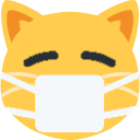 maskCat emote for Discord