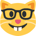 nerdCat emote for Discord