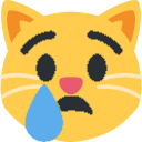 cryCat emote for Discord