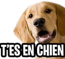 GrosChien emote for Discord