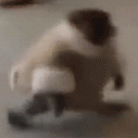 4u_monke emote for Discord