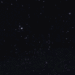 zerotwo_stare1 emote for Discord