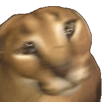 floppa_shake emote for Discord
