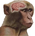 NeuronActivation emote for Discord