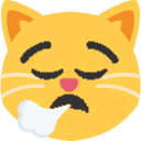 tiredCat emote for Discord