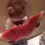 monkeyeat emote for Discord