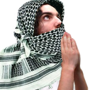 blesshalal emote for Discord