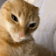 Quan emote for Discord
