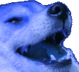 KEK emote for Discord