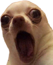 OOOO emote for Discord