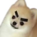 mad_doggo emote for Discord