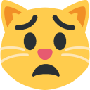 worriedcat emote for Discord