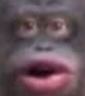 woooh emote for Discord