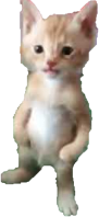 Michael emote for Discord