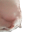 CatJamUpsideDown emote for Discord