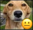 laugh emote for Discord