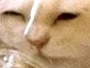 confused emote for Discord