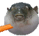 pufferfish emote for Discord