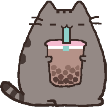 bobacat emote for Discord