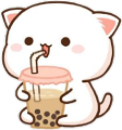 bobacat emote for Discord