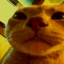 VibeCat animated emote