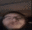 StopPostingAboutAmogus emote for Discord