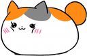 kitty emote for Discord