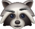Dubious_raccoon emote for Discord