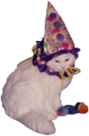 clown_cat emote for Discord
