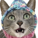 catShocked emote for Discord