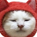 catHmm emote for Discord
