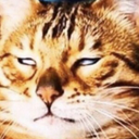 eyeRoll emote for Discord