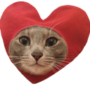 catHart emote for Discord
