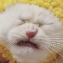 PLSNO emote for Discord