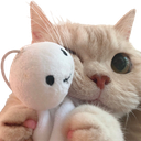 Catto_Big_Hug emote for Discord