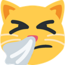 sneezingCat emote for Discord