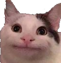 CatStare emote for Discord