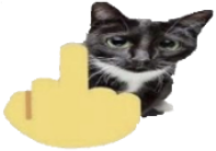 Middle_Finger_Cat emote for Discord