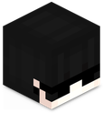 Minecraft_Head emote for Discord