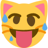 woozycat emote for Discord