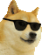 CoolDoge emote for Discord