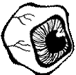 weird_eyeball emote for Discord