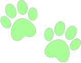 green_paw_prints emote for Discord