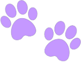 purple_paw_prints emote for Discord