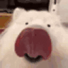 licky emote for Discord