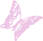 butterfly emote for Discord