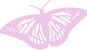butterfly emote for Discord