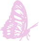 butterfly emote for Discord