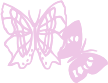 butterfly emote for Discord