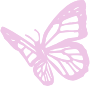 butterfly emote for Discord